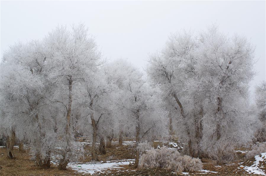 #CHINA-XINJIANG-RIME SCENERY (CN) 