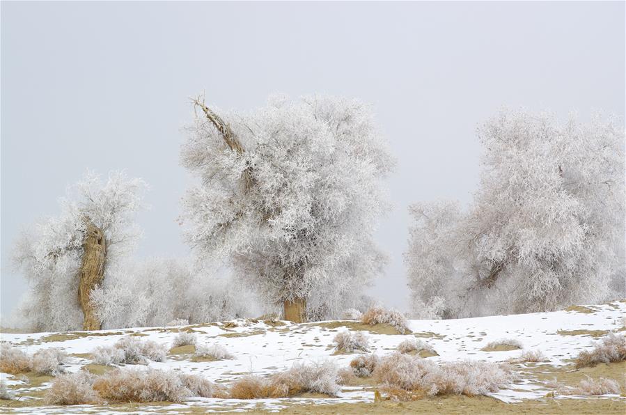 #CHINA-XINJIANG-RIME SCENERY (CN) 