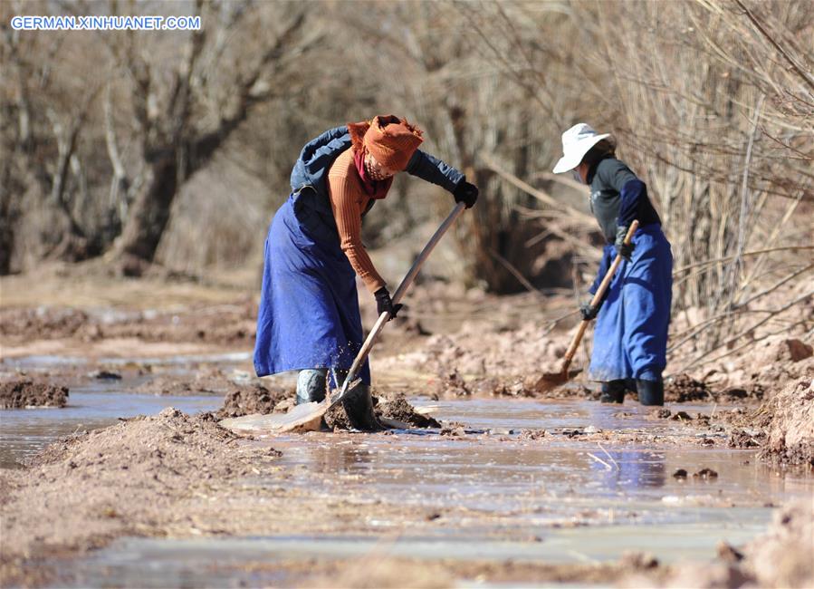 CHINA-TIBET-AGRICULTURE-WINTER IRRIGATION (CN)