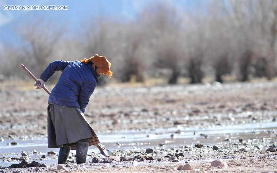 CHINA-TIBET-AGRICULTURE-WINTER IRRIGATION (CN)