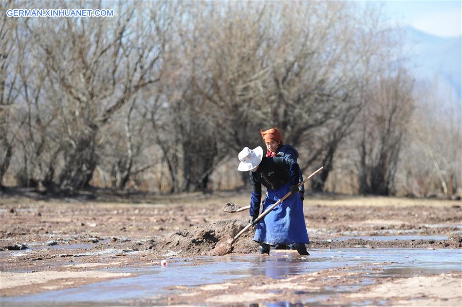 CHINA-TIBET-AGRICULTURE-WINTER IRRIGATION (CN)