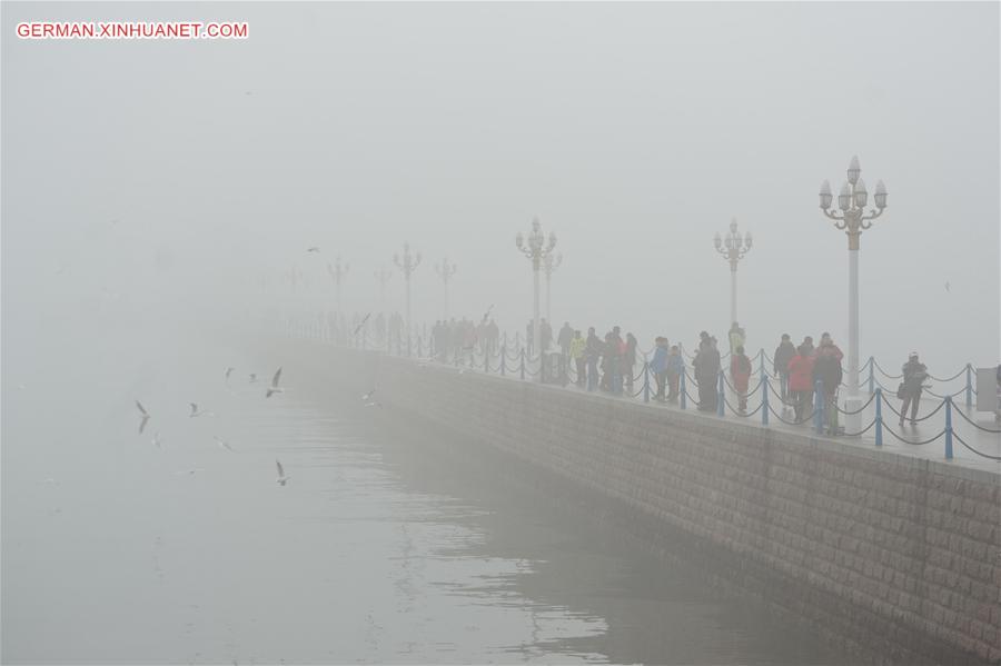 #CHINA-SHANDONG-SMOG (CN)