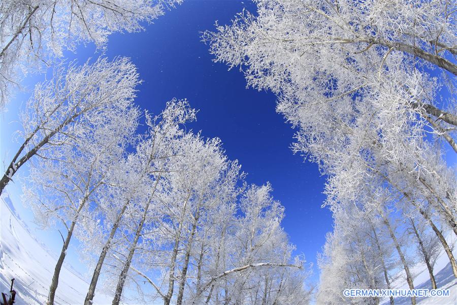 #CHINA-XINJIANG-RIME SCENERY (CN)