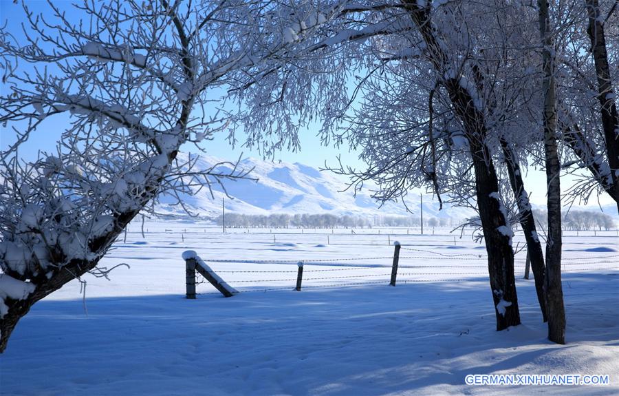 #CHINA-XINJIANG-RIME SCENERY (CN)