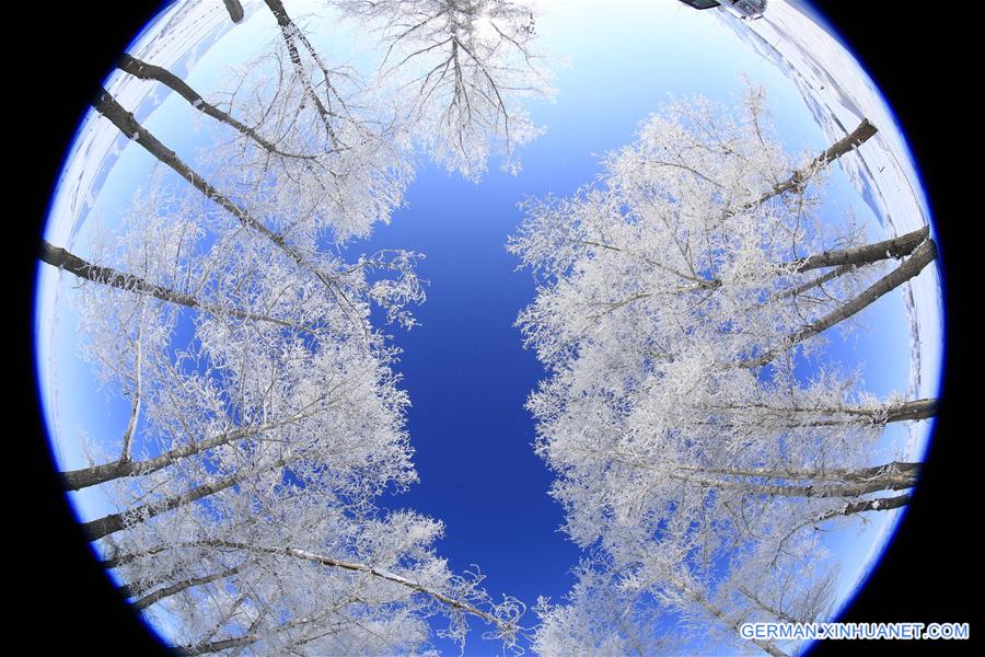 #CHINA-XINJIANG-RIME SCENERY (CN)