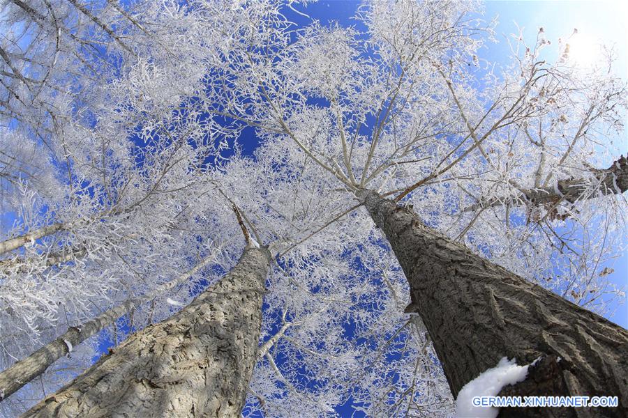 #CHINA-XINJIANG-RIME SCENERY (CN)