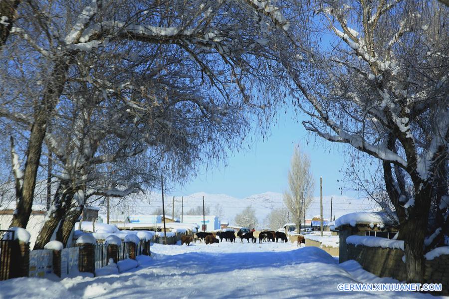 #CHINA-XINJIANG-RIME SCENERY (CN)