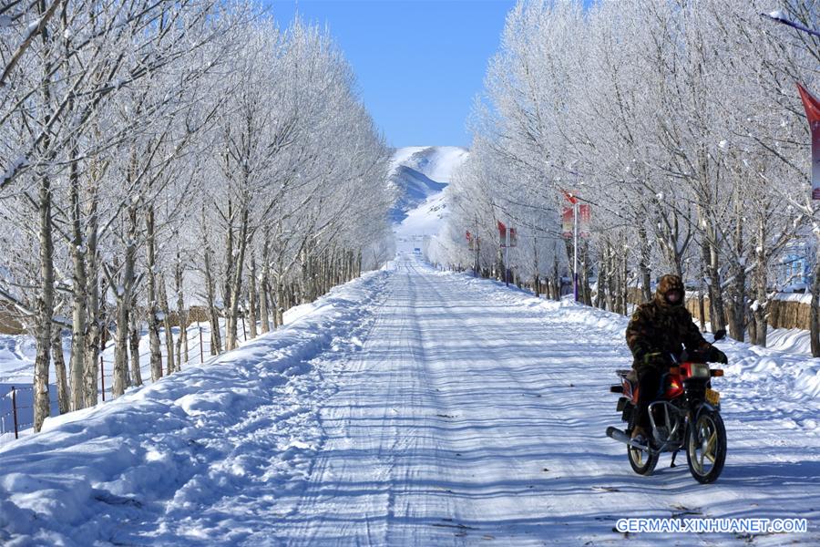 #CHINA-XINJIANG-RIME SCENERY (CN)