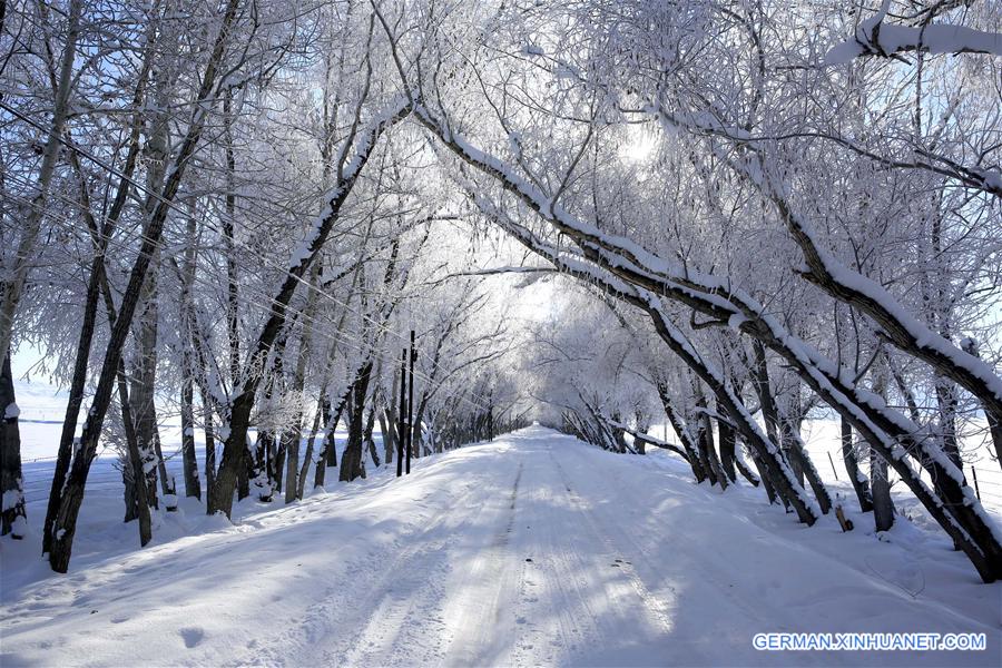 #CHINA-XINJIANG-RIME SCENERY (CN)