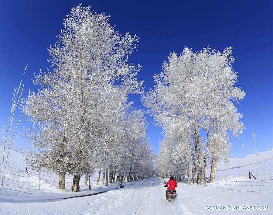 #CHINA-XINJIANG-RIME SCENERY (CN)