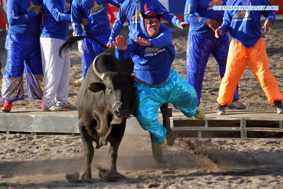 Weekly Choices of Xinhua Photo (Dec. 27, 2015-Jan. 3, 2016) 