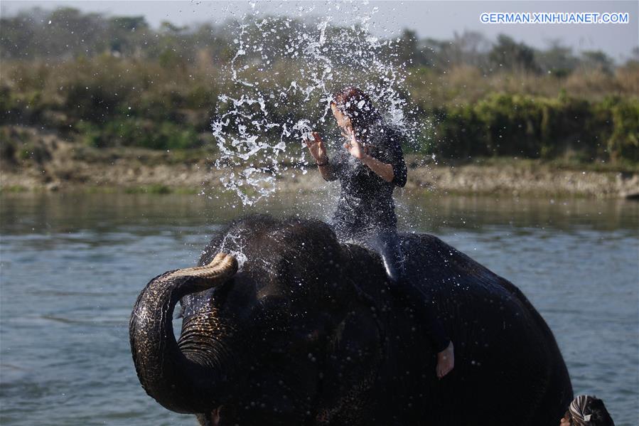 Weekly Choices of Xinhua Photo (Dec. 27, 2015-Jan. 3, 2016) 