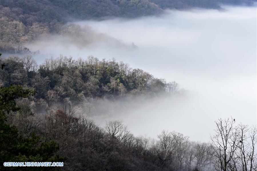 CHINA-HUBEI-SHENNONGJIA-FOG (CN)