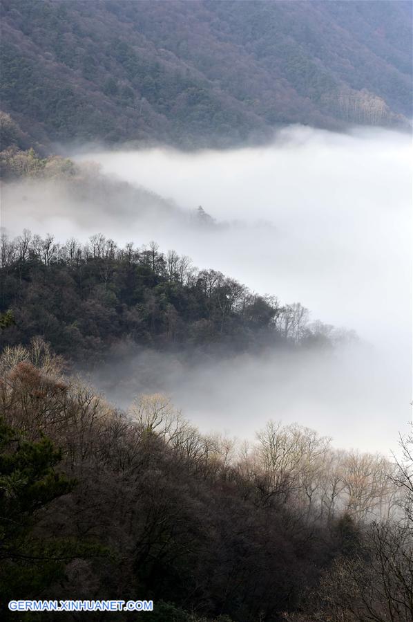 CHINA-HUBEI-SHENNONGJIA-FOG (CN)