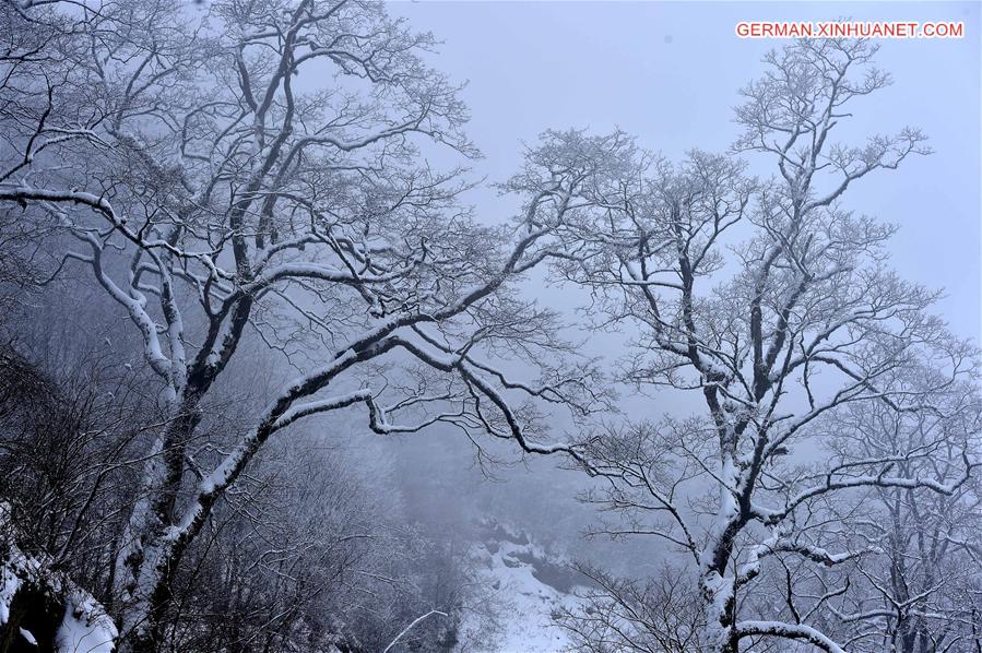 CHINA-HUBEI-SHENNONGJIA-SNOW(CN)