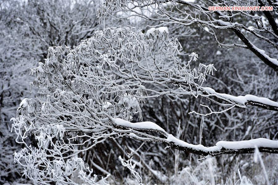 CHINA-HUBEI-SHENNONGJIA-SNOW(CN)