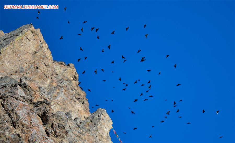 CHINA-TIBET-XIGAZE-BUDDHISM-MONASTERY (CN)