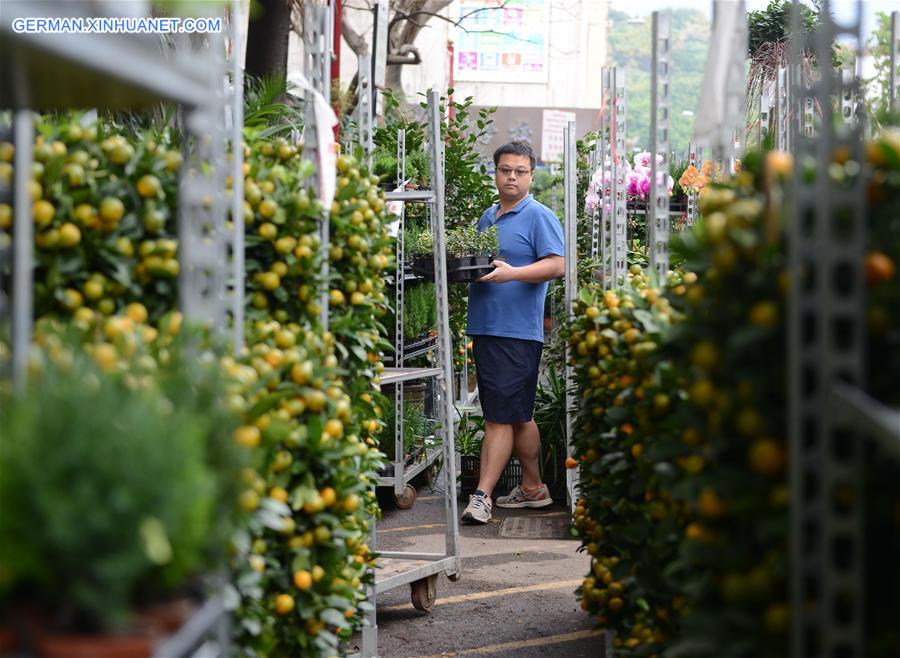 CHINA-HONG KONG-SPRING FESTIVAL-PREPARATION (CN)