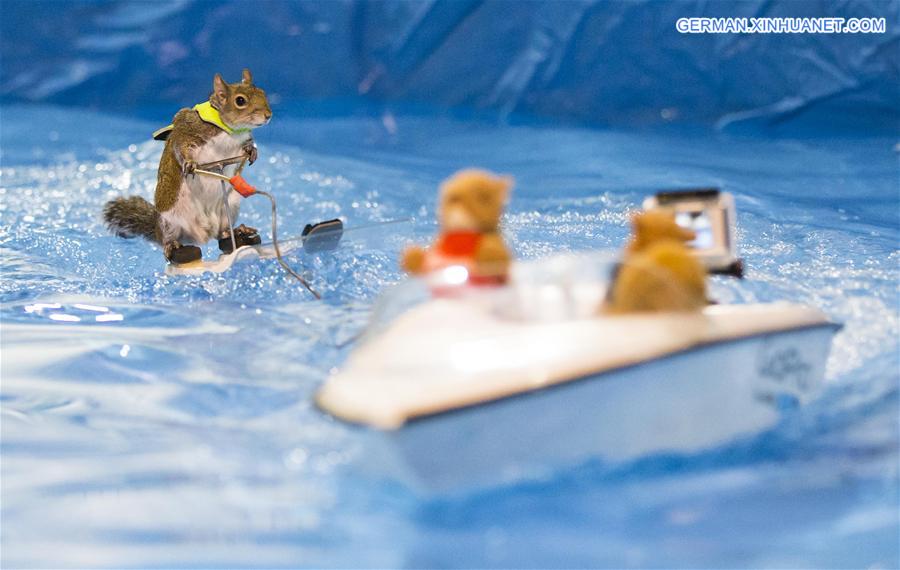 CANADA-TORONTO-WATERSKIING SQUIRREL-TWIGGY
