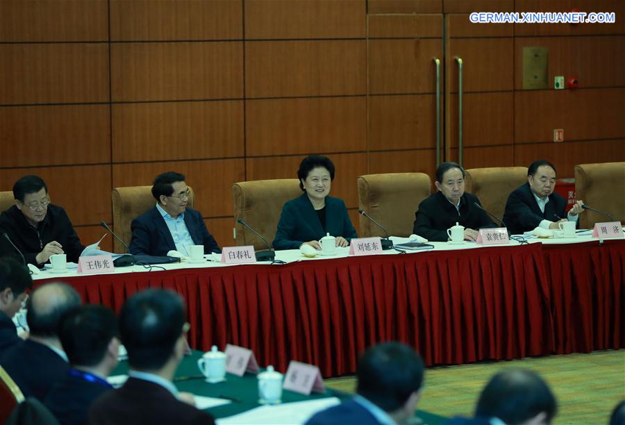 CHINA-BEIJING-LIU YANDONG-MEETING(CN)