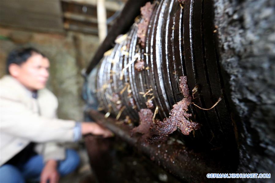 #CHINA-GUANGXI-LIUZHOU-BANLAN TOWN-TEA OIL(CN)