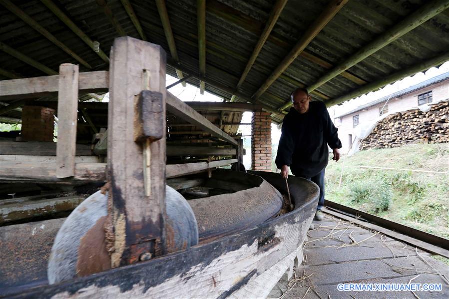 #CHINA-GUANGXI-LIUZHOU-BANLAN TOWN-TEA OIL(CN)