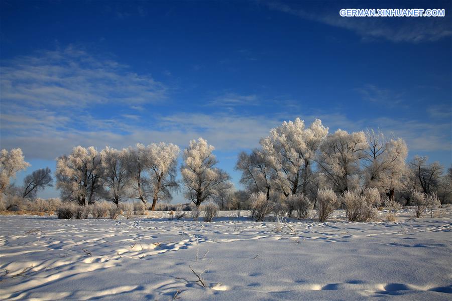 #CHINA-XINJIANG-ALTAY-RIME(CN)