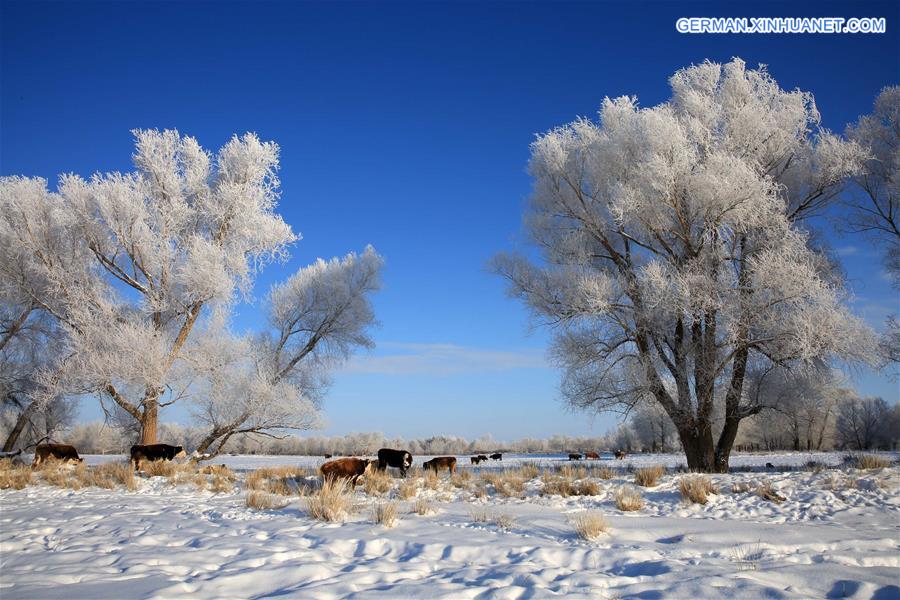 #CHINA-XINJIANG-ALTAY-RIME(CN)