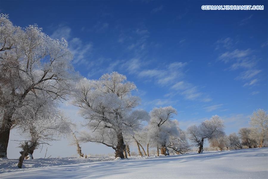 #CHINA-XINJIANG-ALTAY-RIME(CN)