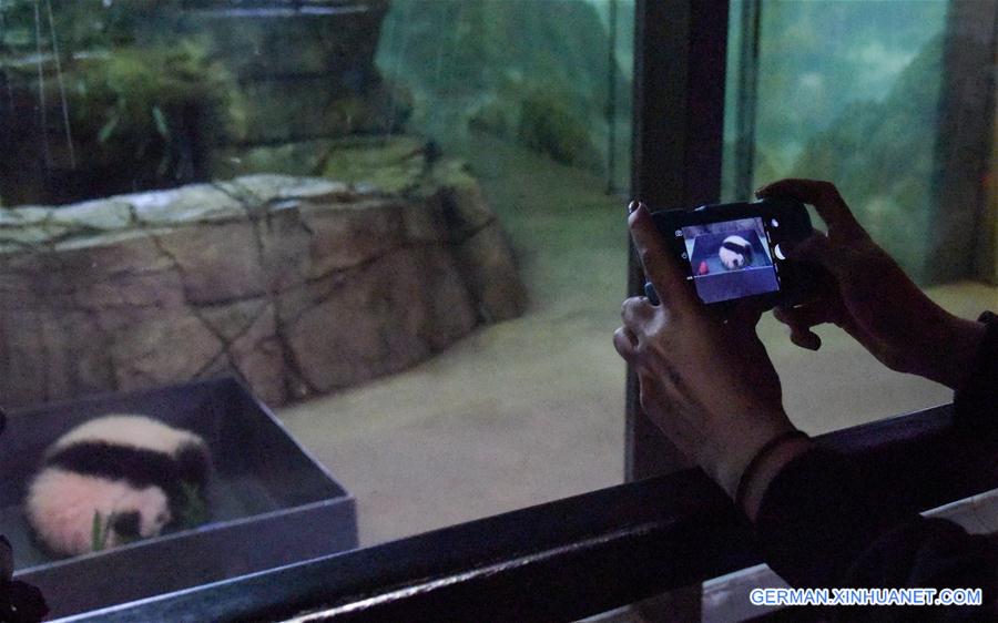 U.S.-WASHINGTON D.C.-NATIONAL ZOOLOGICAL PARK-PANDA-BEIBEI