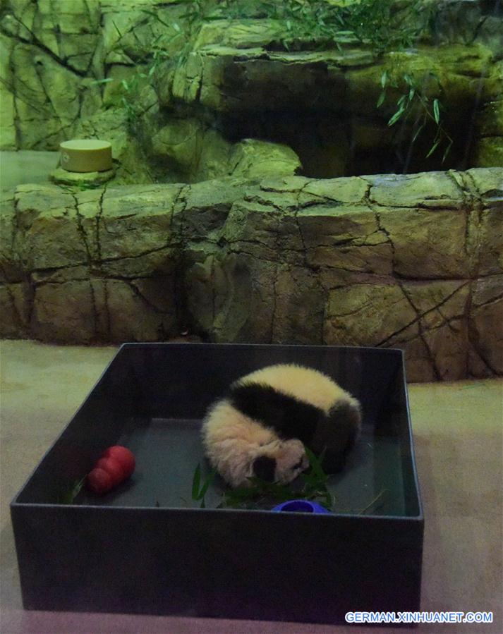 U.S.-WASHINGTON D.C.-NATIONAL ZOOLOGICAL PARK-PANDA-BEIBEI