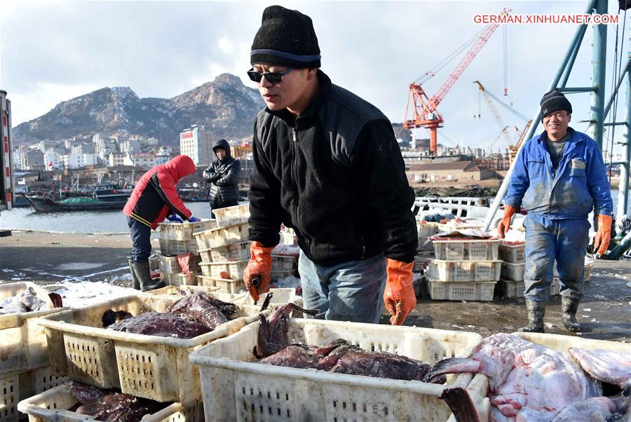 CHINA-SHANDONG-RONGCHENG-FISHERY (CN)