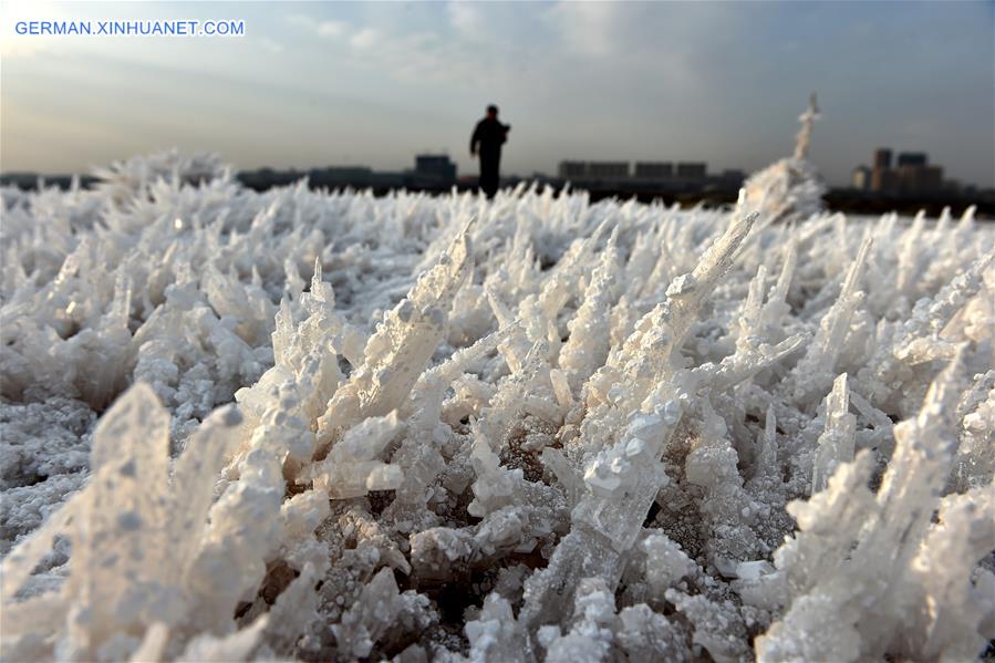 CHINA-SHANXI-SALT LAKE-MIRABILITE RIME (CN)