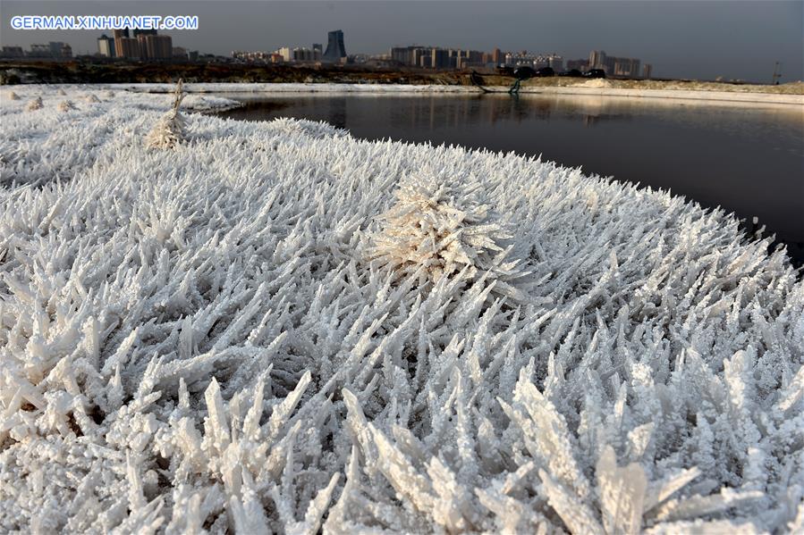 CHINA-SHANXI-SALT LAKE-MIRABILITE RIME (CN)