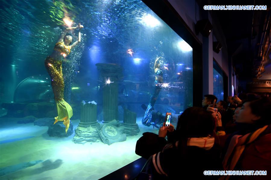 CHINA-GANSU-LANZHOU-POLAR OCEAN WORLD-OPEN (CN)