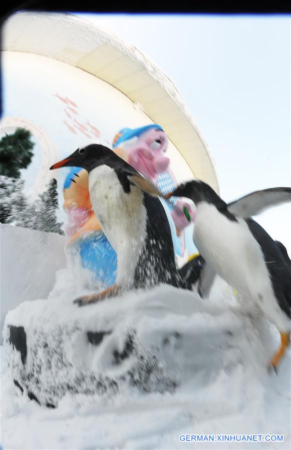 CHINA-HARBIN-PENGUIN SHOW (CN)