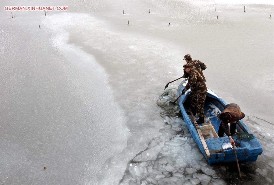 CHINA-YANTAI-COLD FRONT-SEA ICE (CN)