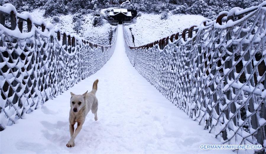 CHINA-COLD FRONT-SNOW SCENERY (CN)