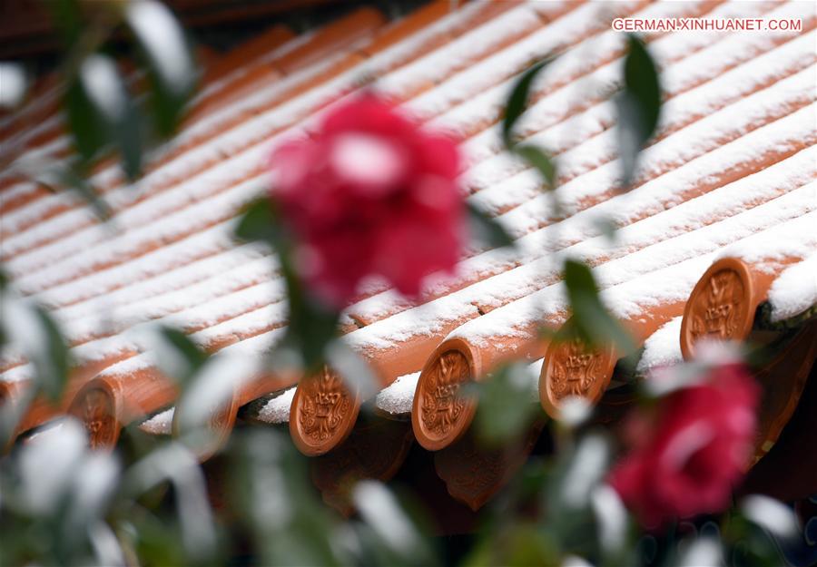 CHINA-KUNMING-SNOW-FLOWER(CN)