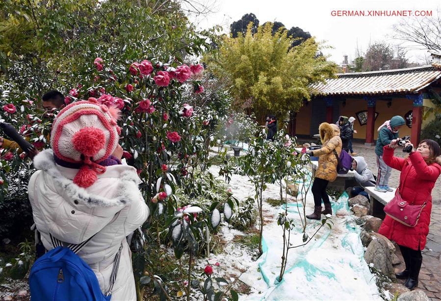 CHINA-KUNMING-SNOW-FLOWER(CN)