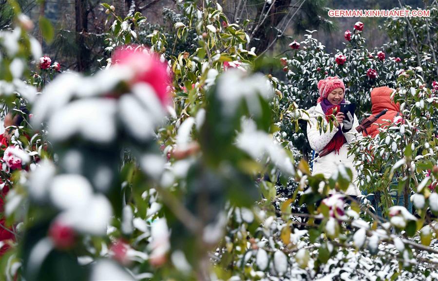 CHINA-KUNMING-SNOW-FLOWER(CN)