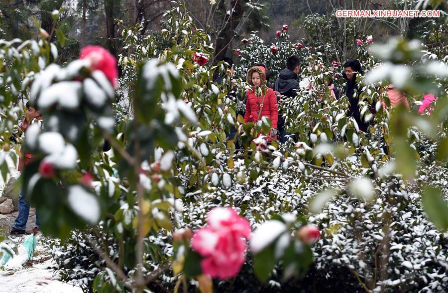 CHINA-KUNMING-SNOW-FLOWER(CN)