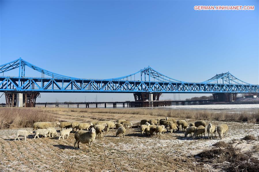 CHINA-JINAN-RAILWAY AND HIGHWAY COMBINED BRIDGE-CONSTRUCTION (CN)