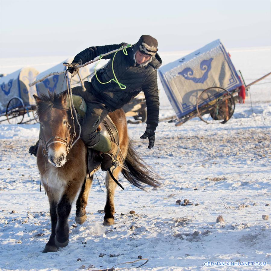 #CHINA-INNER MONGOLIA-HULUNBUIR-WINTER-GRAZING (CN)