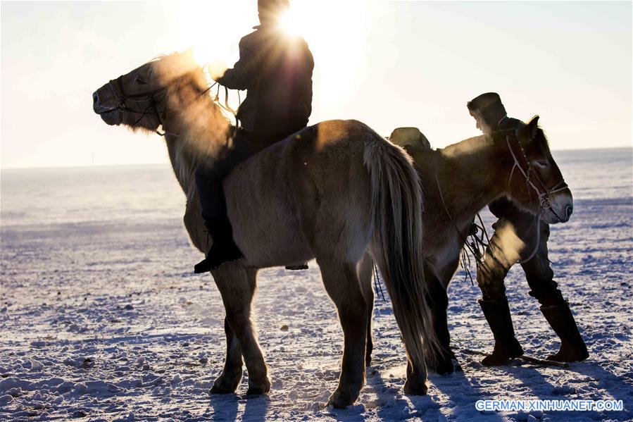 (CORRECTION)#CHINA-INNER MONGOLIA-HULUNBUIR-WINTER-GRAZING (CN)