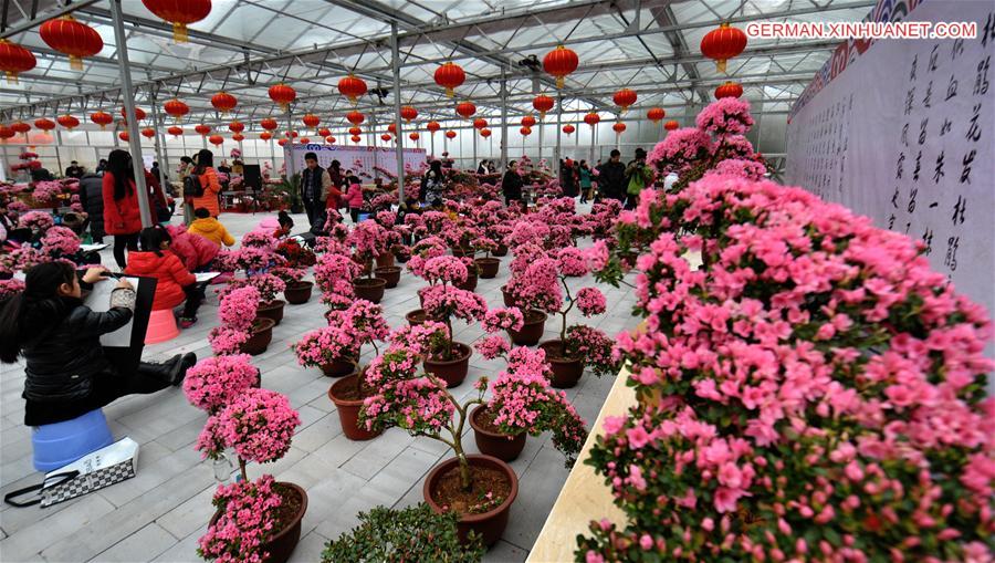 CHINA-HUNAN-CHANGSHA-AZALEA (CN)