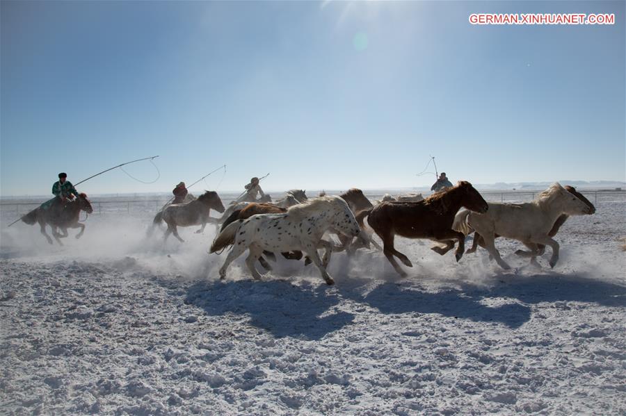 #CHINA-INNER MONGOLIA-XILINGOL PLATEAU-HORSEMEN (CN)