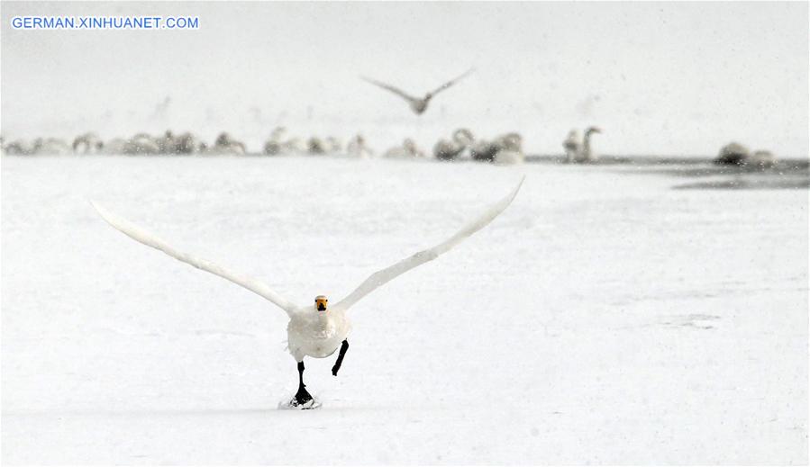 WEEKLY CHOICES OF XINHUA PHOTO