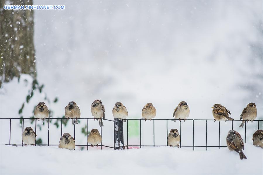 WEEKLY CHOICES OF XINHUA PHOTO