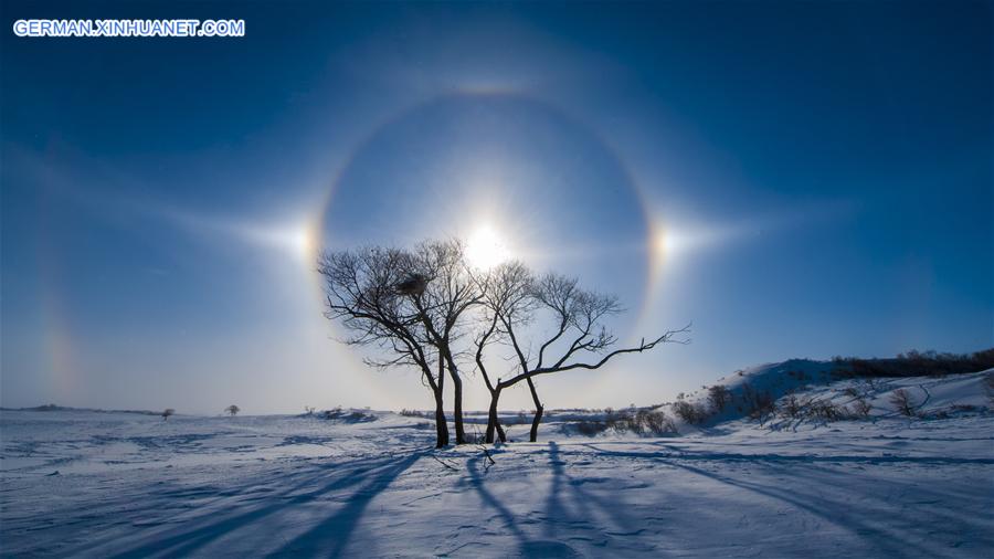 WEEKLY CHOICES OF XINHUA PHOTO